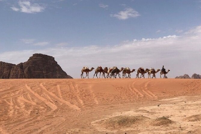 Full-Day Private Tour in Petra With Hotel Pick-Up - Customizing Your Experience