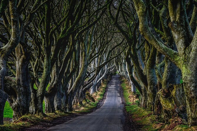 Full-Day Private Tour of Giants Causeway With Pick up - The Giants Causeway