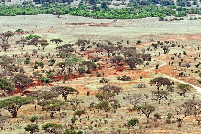 Full-Day Private Tour of Tsavo East National Park From Mombasa - Expectations and Accessibility