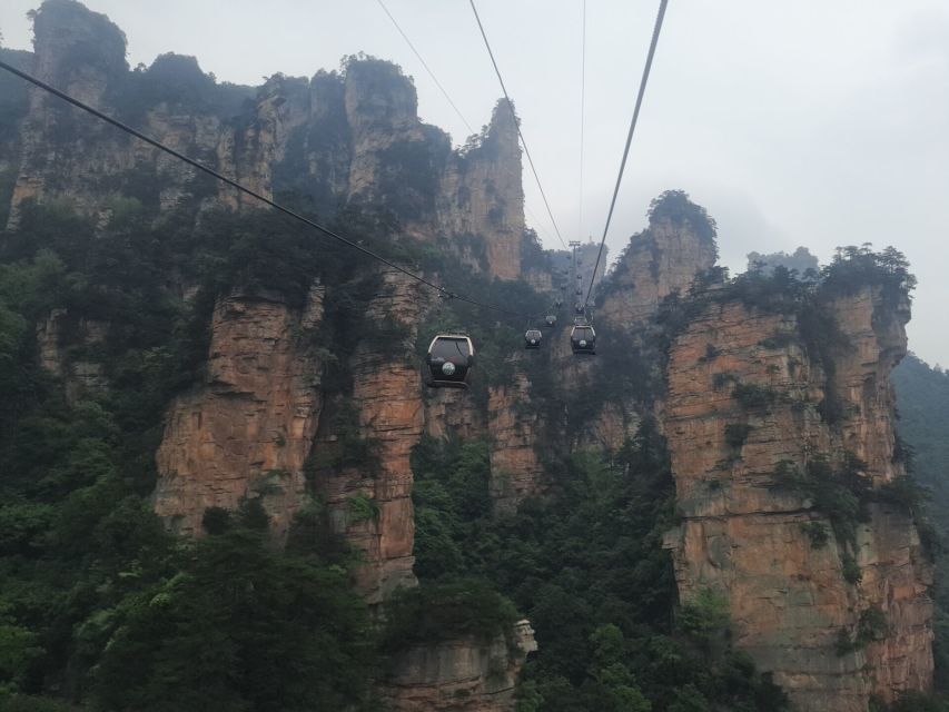 Full-Day Private Tour of Zhangjiajie National Forest Park - Customer Feedback