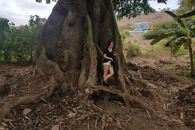 Full Day Santiago Island Tour - Highlights of the Tour