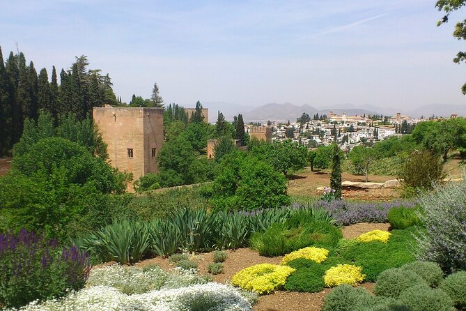 Full Day to Alhambra Palace and Generalife Gardens Direct From Malaga - Meeting Point and Schedule