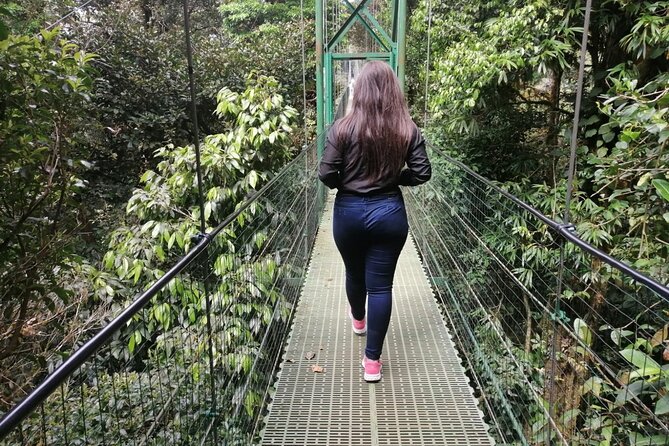 Full Day to Monteverde From San Jose With Canopy and Reptil Amphibians Watching - Tour Booking Information