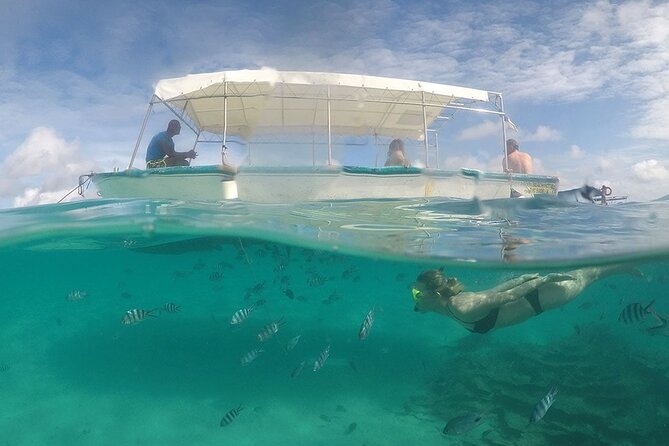 Full Day Tour 5 Island to Ile Aux Cerfs Incl. Lunch and Transfer - Customer Feedback
