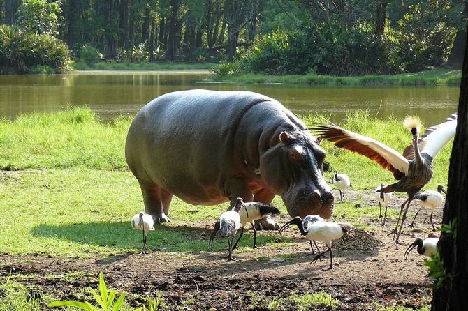 Full-Day Tour of Mombasa - Additional Information and Tips