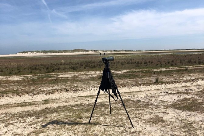 Full Day Tour to Texel - Friesian Islands - From Amsterdam - Explore the Wadden Sea Islands