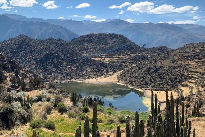 Full Day Tour to the Colca Canyon - Destination Highlights