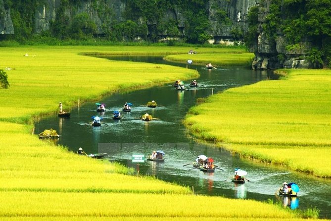 Full Day Trip to Discover Ninh Binh – Hoa Lu – Tam Coc From Ha Noi - Traveler Reviews