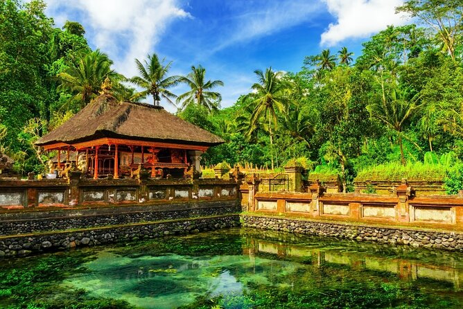 Full Day Ubud Private Tour With Swing Experience - Swing Experience Details