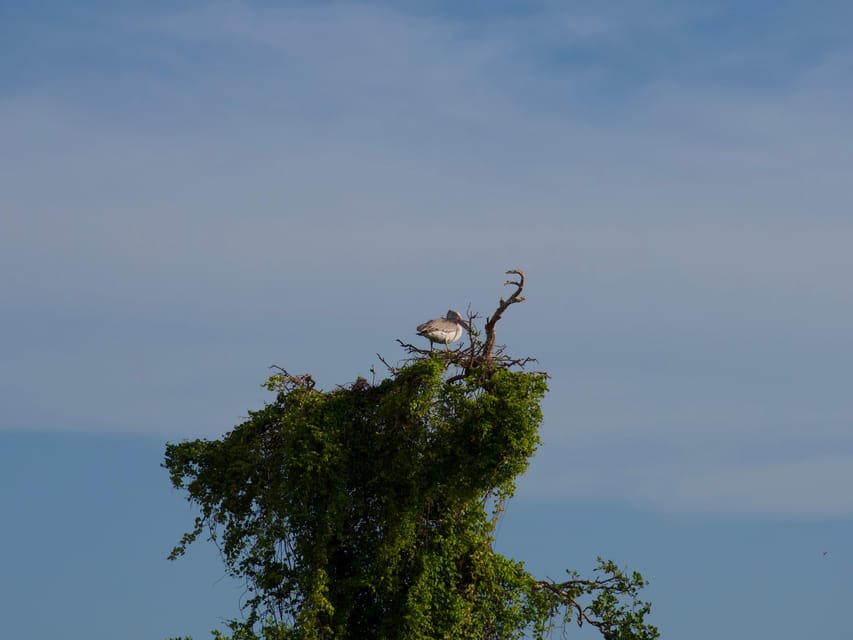 Full-Day Wild Safari in Kumana National Park - Refund and Cancellation Policy