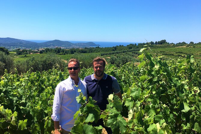 Full-Day Wine Tour Around Bandol & Cassis From Marseille - Small-Group Tour Experience