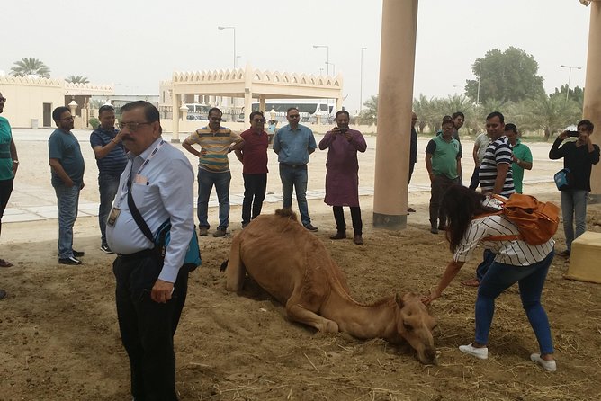 Full Day With Traditional Bahraini Lunch - Tour Logistics and Details