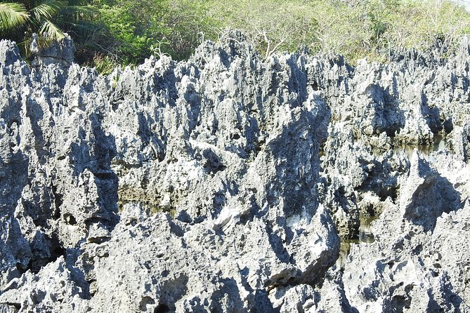Full Grand Cayman Island Tour - Booking and Recommendations