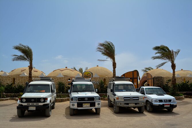 Fun Safari ATV, Buggy Car and Dinner, Show-Hurghada - Accessibility and Special Requirements