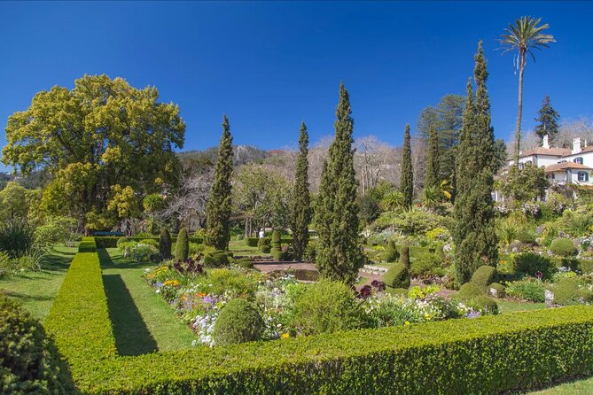 Funchal Old Town & Palheiro Gardens Private Tuk Tuk Tour - Discover Palheiro Gardens