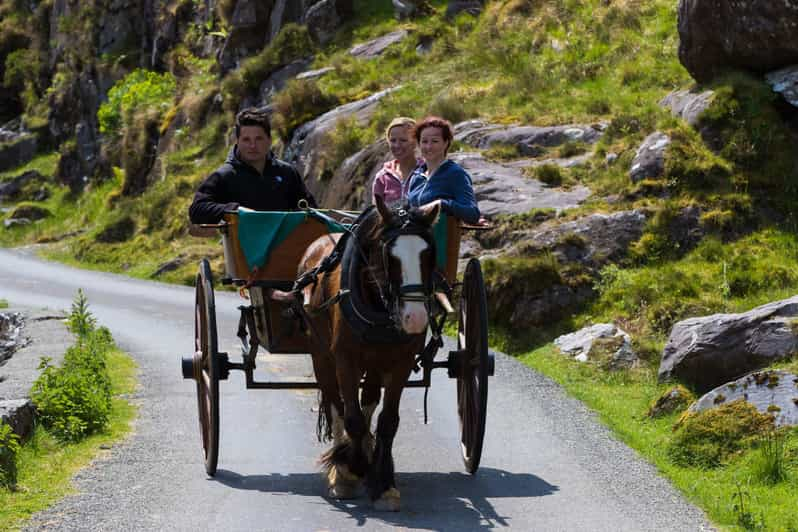 Gap of Dunloe & Lakes of Killlarney Boat Tour - Important Information to Know