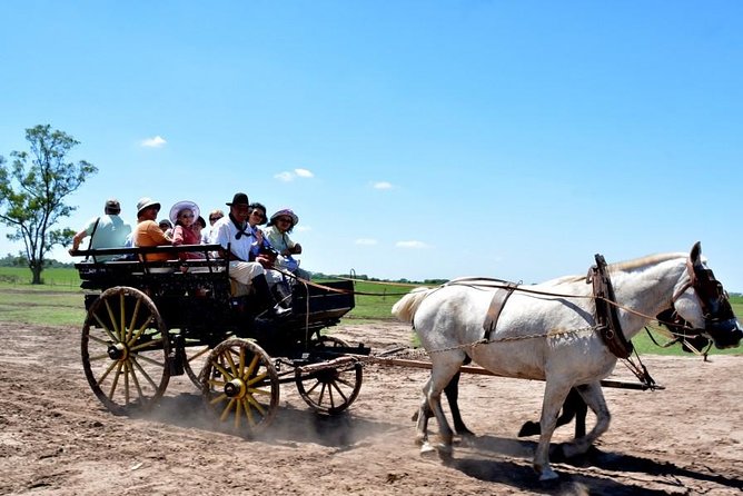 Gaucho Day Tour Santa Susana Estancia From Buenos Aires - Included in the Tour
