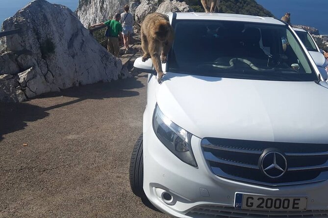 Gibraltar Sightseeing : Classic Shore Excursion (Private) - Unique Sights and Attractions