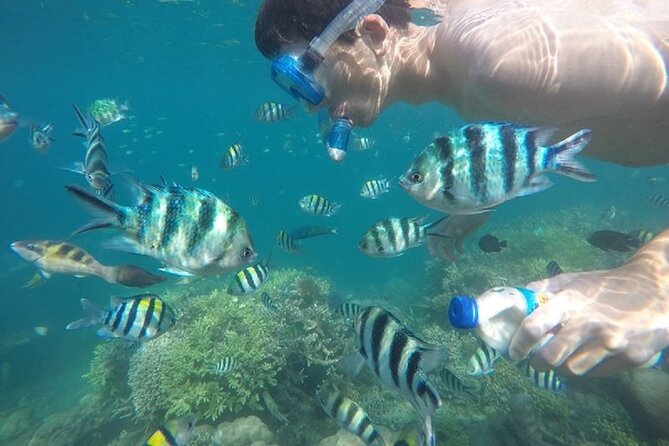 Gili Nanggu,Gili Kedis & Gili Sudak Hopping Island & Snorkeling Tour - Customer Reviews and Feedback