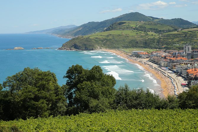 Gipuzkoa Coast Tour With Lunch - Tour Pricing