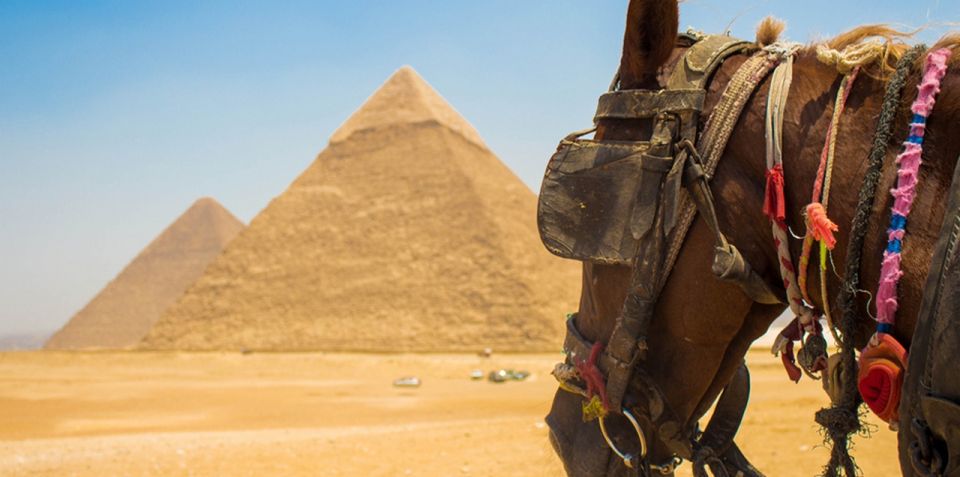 Giza: Arabian Horse Tour Around the Giza Pyramids - Customer Reviews and Ratings