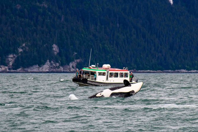 Glacier Point Wilderness Safari - Pricing and Cancellation Policy