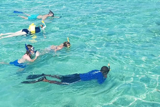 Glass Bottom Boat & Snorkelling Tour Bundle - Snorkeling Adventure