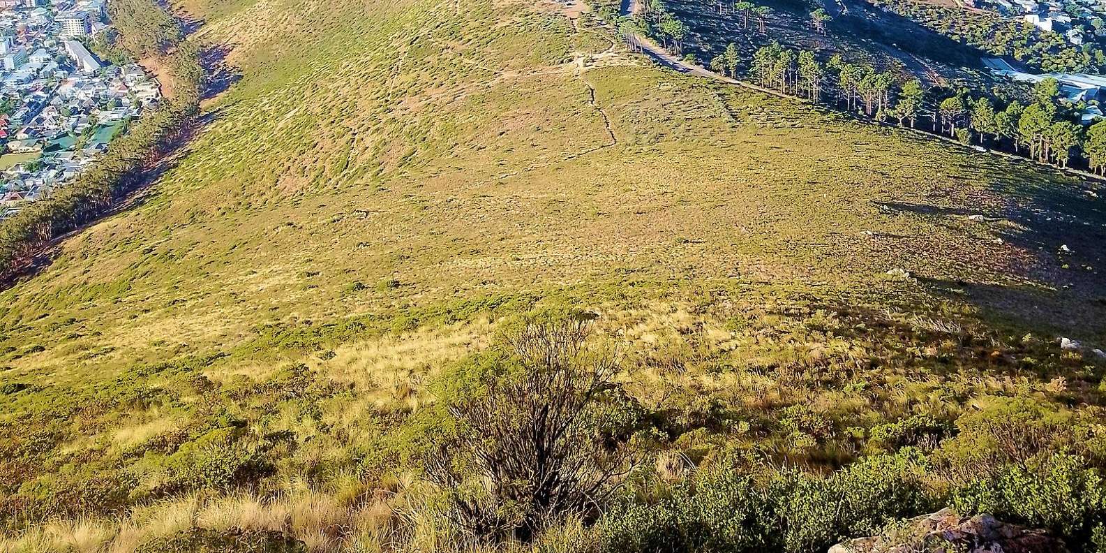 GO! Lions Head : Safe, Informative Hike, Stunning 360° Views - Safety and Accessibility