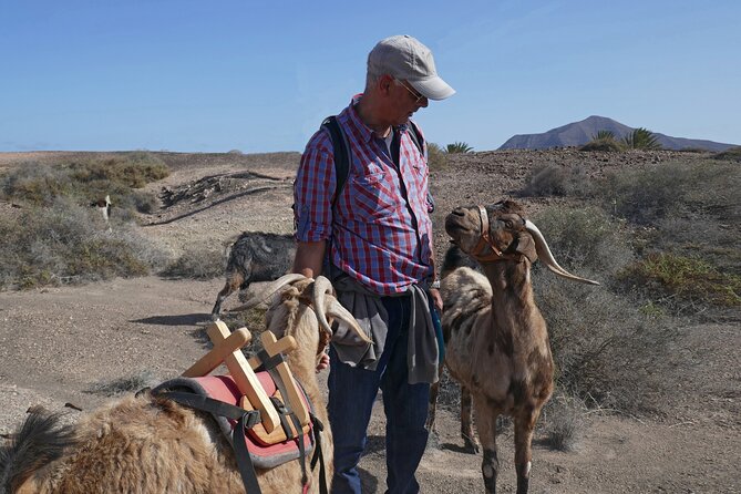 Goat Trekking Fuerteventura - Pickup and Meeting Point