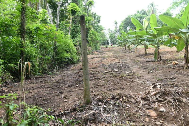 Godakawela Village Tour With Traditional 4 Causes Lunch - Booking and Flexibility