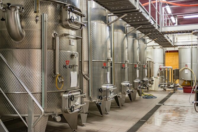 GOLD EXPERIENCE - Winery Tour & Tasting at Villa Corniole - Exploring the Winerys History
