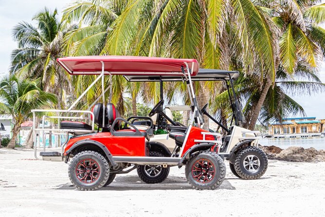 Golf Cart Rental Belize Ambergris Caye - Accessibility and Participation