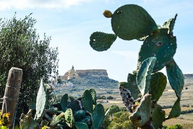 Gozo Wine and Food Tasting - Meeting and Departure Information