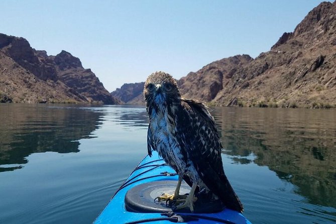 Grand Canyon Helicopter Flight and Guided Kayak Tour - Stunning Aerial Perspectives
