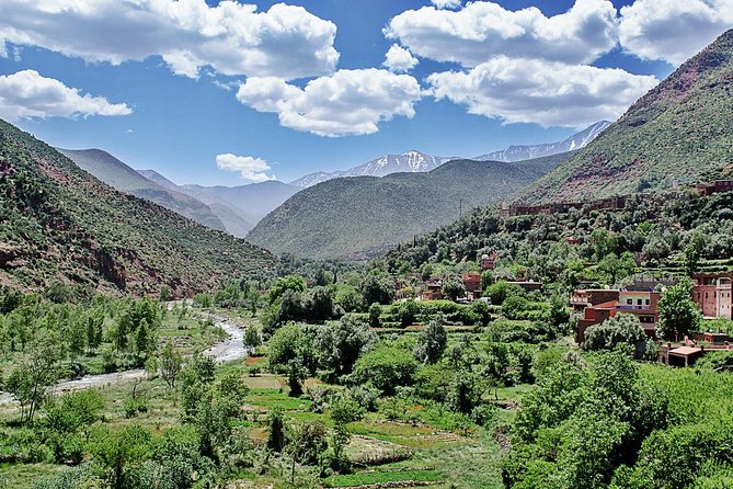 Group Shared Day Tour to Ourika Valley & Atlas Mountains - Reviews and Ratings