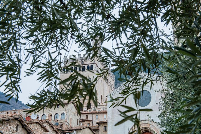 Gubbio: Private Walking Tour With Official Guide - Guided Walking Experience