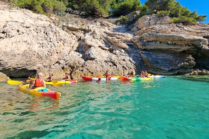 Guided Kayak Excursion in Creeks - Participant Expectations
