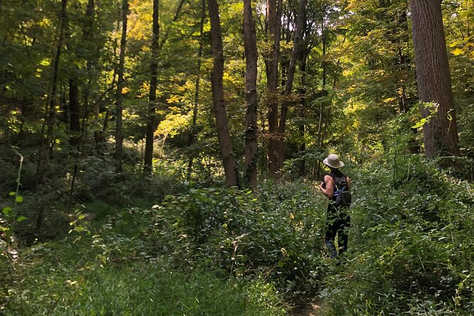 Guided Shared Group Forest Bathing Session in Serene Woodland Park - Taking in the Serene Environment