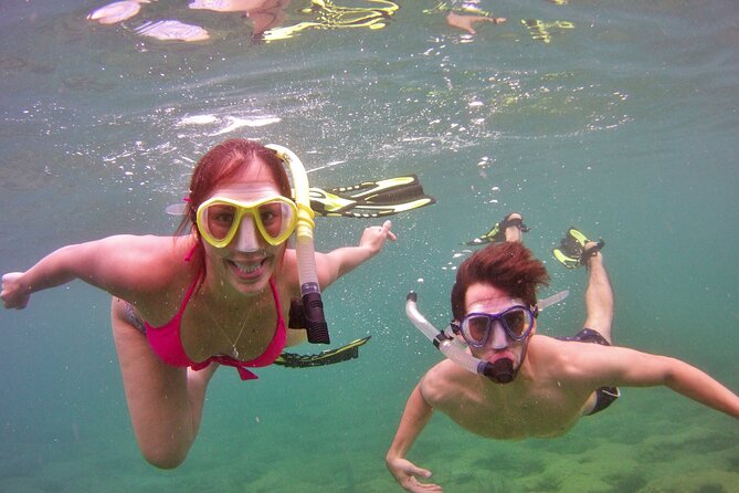 Guided Snorkel Experience in Fort Lauderdale - Ideal for Families
