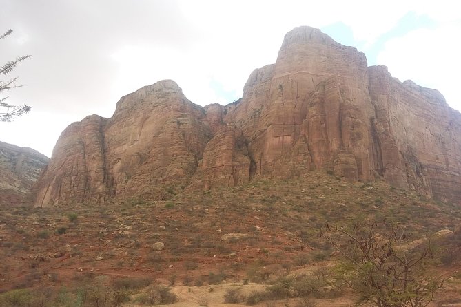 Guided Tour of Tigray Rock Hewn Churches - Tour Logistics and Details