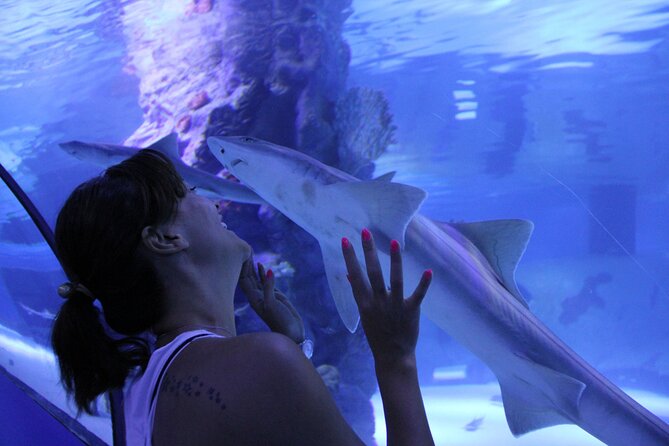 Half Day Antalya Aquarium Tour And Wax Museum - Traveler Feedback and Recommendations