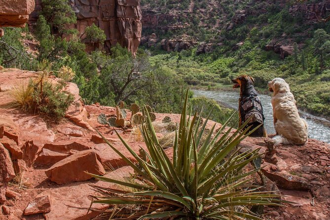 Half-Day Arkansas River - The Numbers Rafting Tour - Exploring the Arkansas River