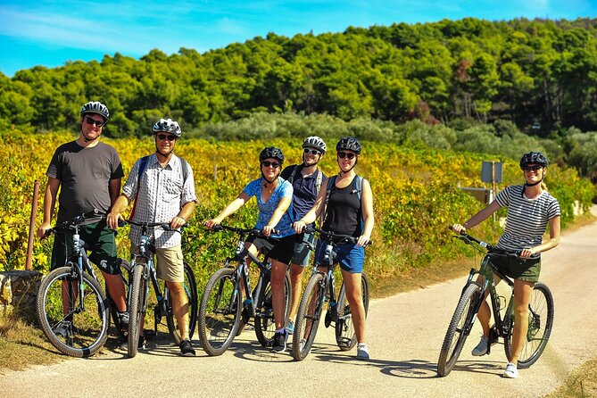 Half-Day Bike Tour in Lumbarda With Wine Tasting - Physical Activity Requirements