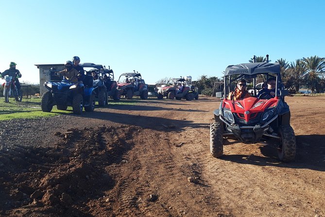 Half-Day Buggy Safari to Akamas Peninsula With Lunch - Lara Bay and Conservation