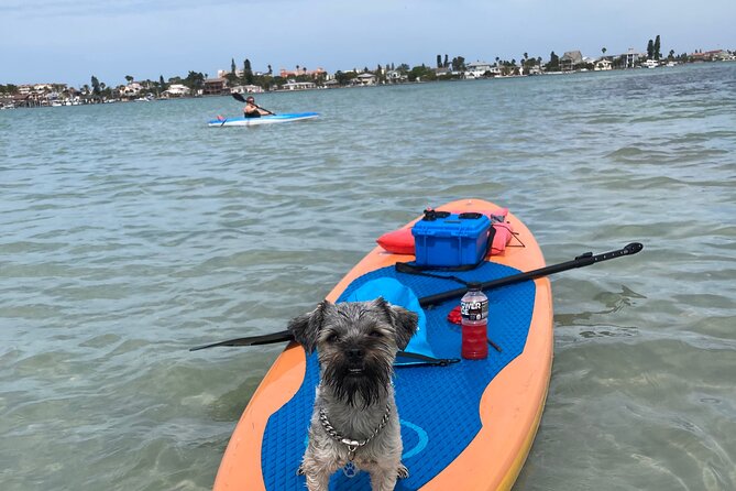 Half Day Excursion to Johns Pass Sandbar & Mangrove Tunnel - Traveler Feedback