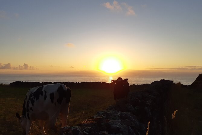 Half-Day Farm Visit and Cow Milking Experience - Activity Details