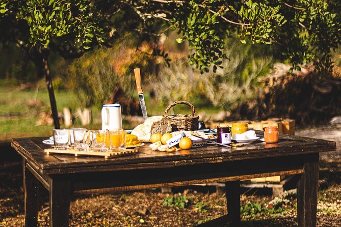Half-Day-Orange Picking &Jam Cooking/Lunch With the Orange Farmer - Activity Description