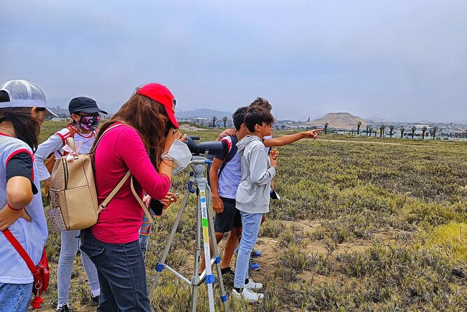 Half-Day Private Birdwatching Tour in Lima - Bird Watching Highlights
