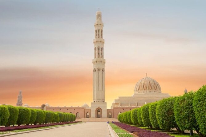 Half Day Private Muscat City Afternoon Tour - Highlights of the Tour