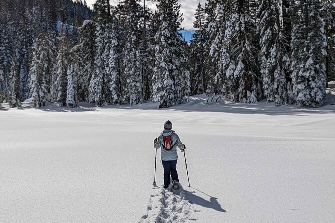 Half Day Snowshoe Hike in Tahoe National Forest - What to Expect on the Hike